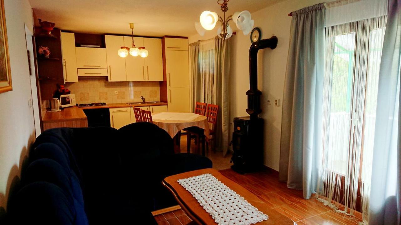 Apartments Rogocana Лабин Экстерьер фото